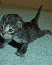  � � ���������