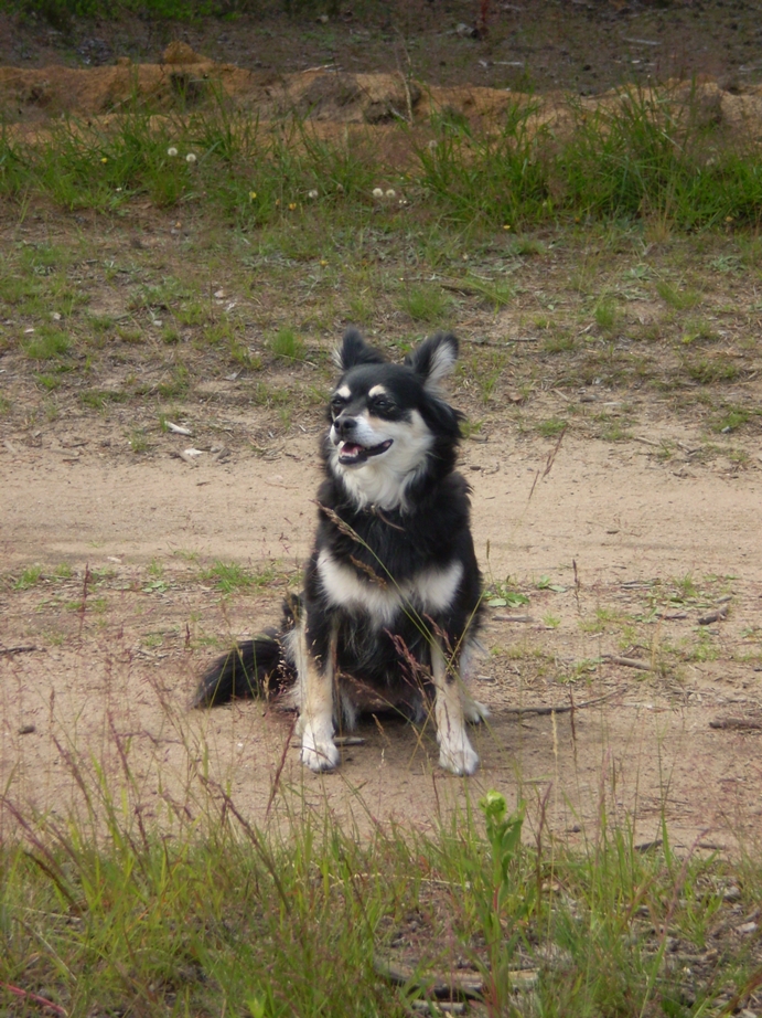  ��� ������ 